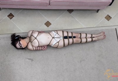 【半岛束艺台】【酒精】人如其名，醉生梦死
