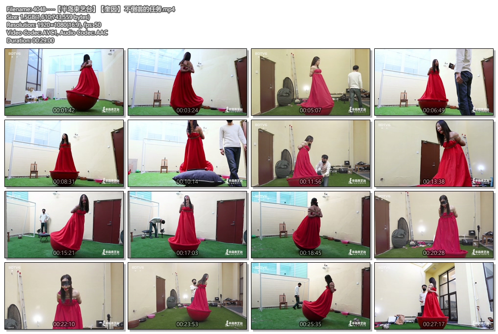 4048----【半岛束艺台】【奎因】 不倒翁的任务.jpg