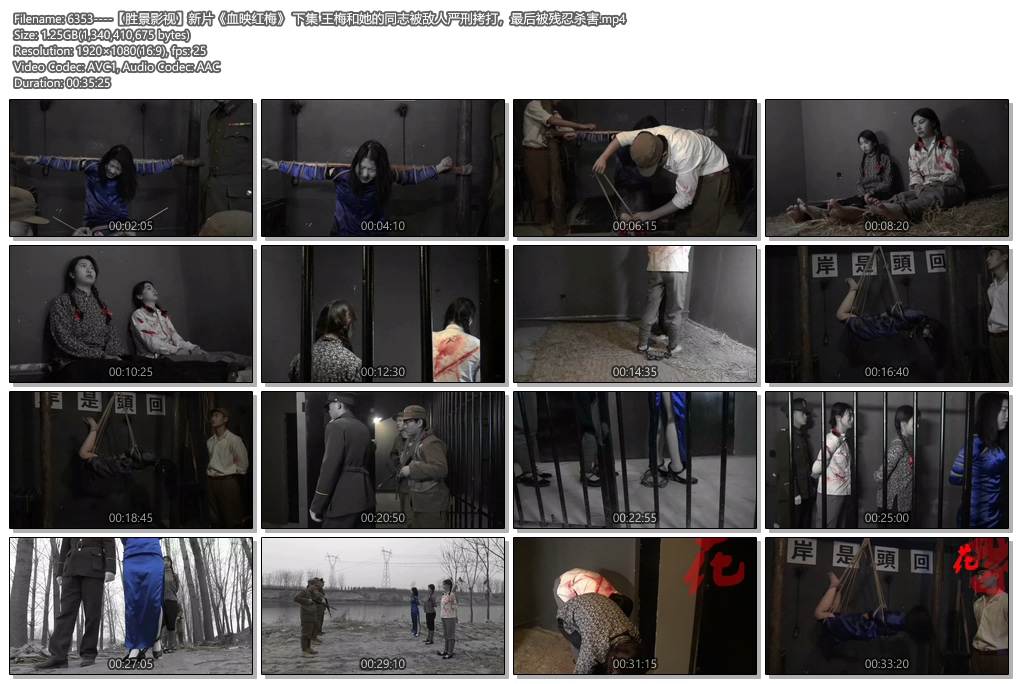 6353----【胜景影视】新片《血映红梅》 下集 王梅和她的同志被敌人严刑拷打.jpg