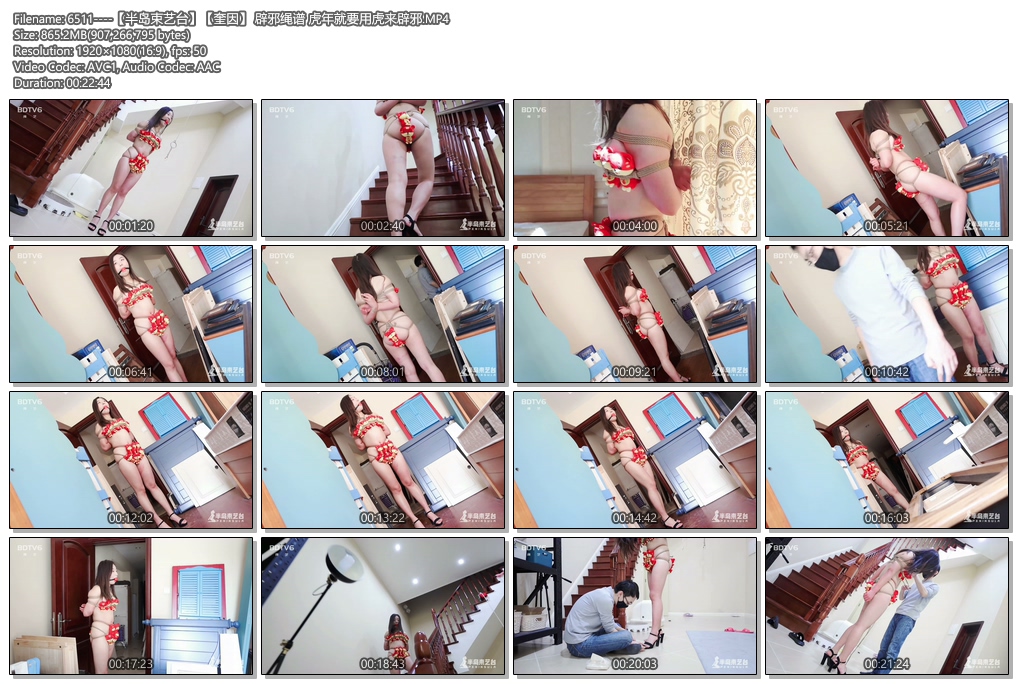 6511----【半岛束艺台】【奎因】 辟邪绳谱 虎年就要用虎来辟邪.jpg