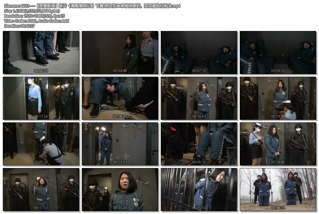 6621----【胜景影视】新片《毒贩落网记 》下集 两女犯二审维持原判，双双被执行枪决.jpg
