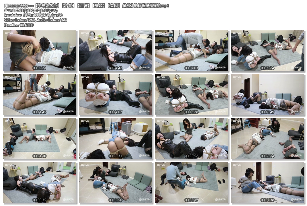 6699----【半岛束艺台】【卡菲】【西玛】【维姬】【奎因】 虽然你的行程码是绿的.jpg