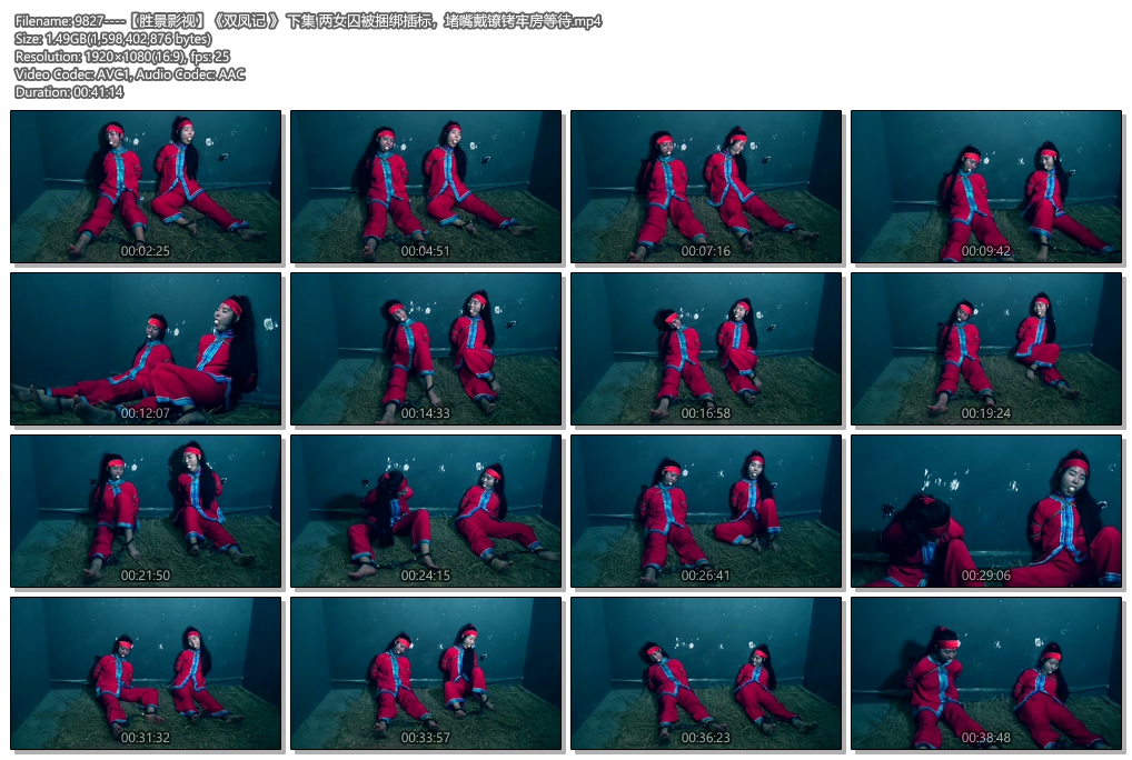 9827----【胜景影视】《双凤记 》 下集 两女囚被捆绑插标，堵嘴戴镣铐牢房等待.jpg