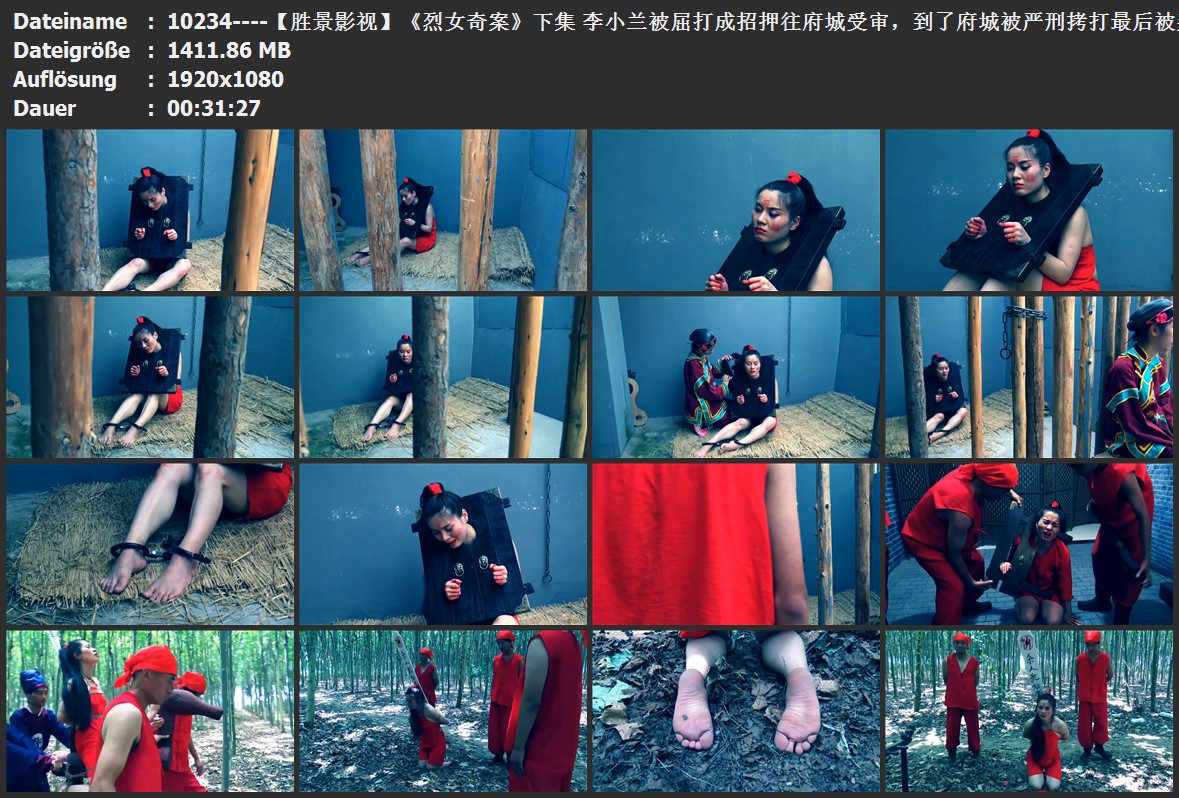 10234----【胜景影视】《烈女奇案》下集 李小兰被屈打成招押往府城受审，到了府城被严.jpg