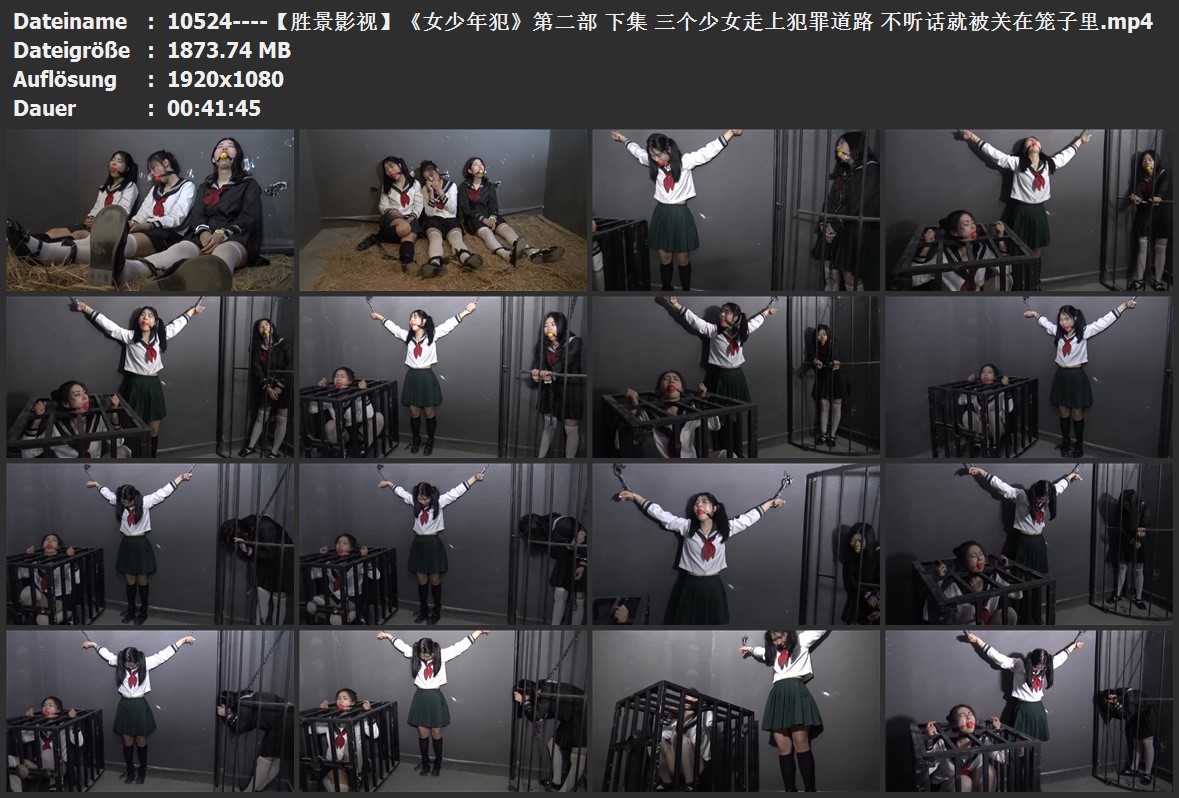 10524----【胜景影视】《女少年犯》第二部 下集 三个少女走上犯罪道路 不听话就被关在笼子里.jpg