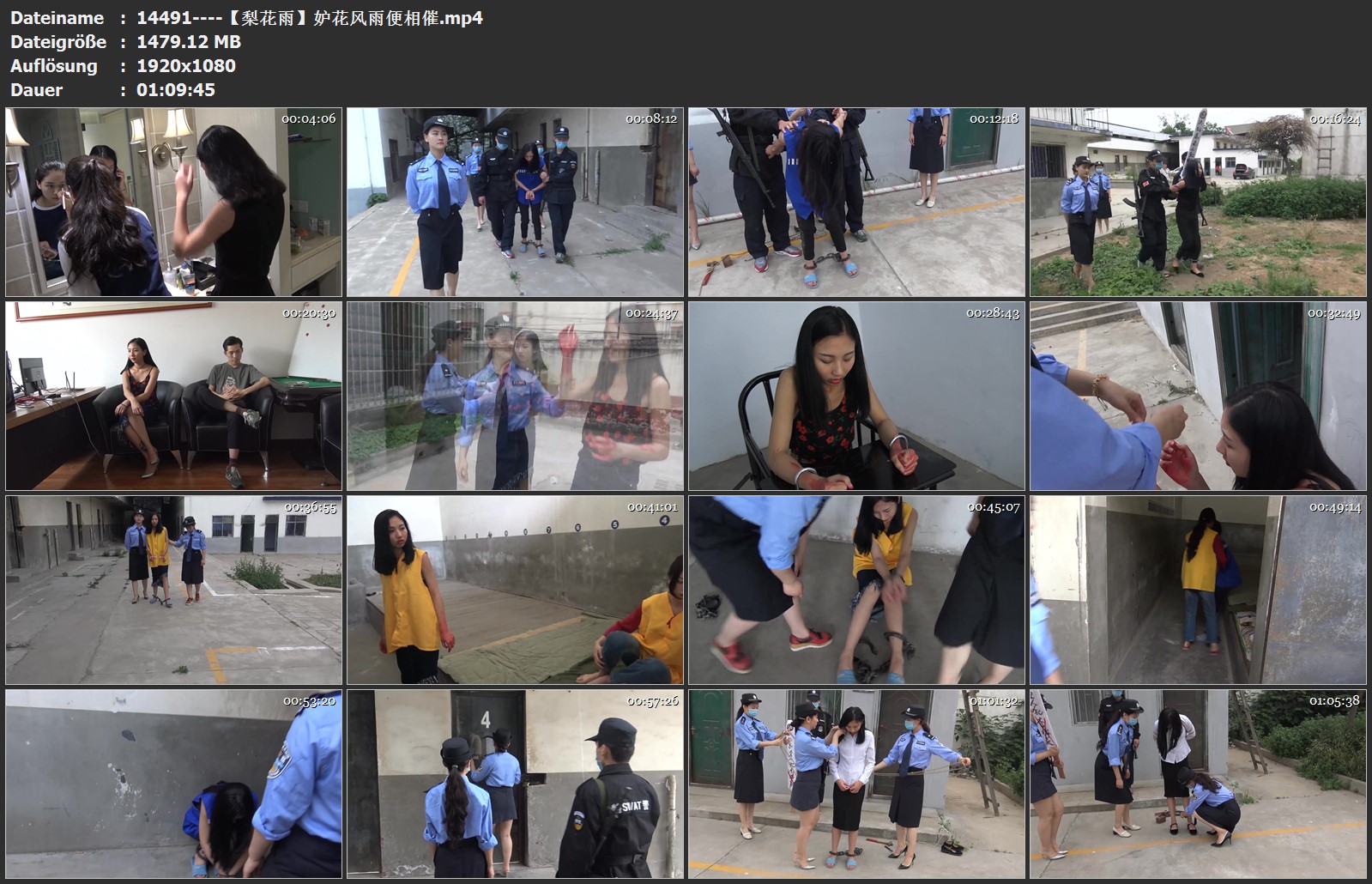14491----【梨花雨】妒花风雨便相催.jpg