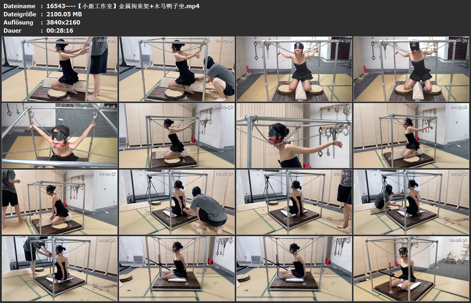 16543----【小鹿工作室】金属拘束架 木马鸭子坐.jpg