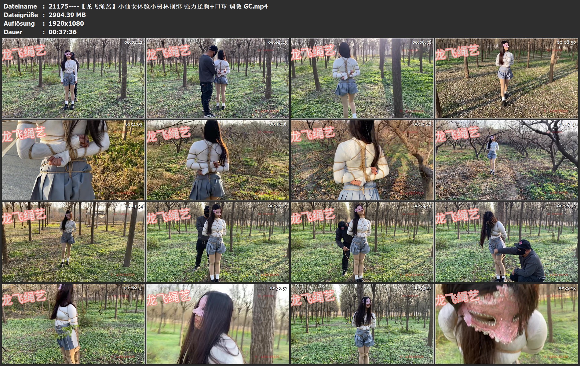 21175----【龙飞绳艺】小仙女体验小树林捆绑 强力揉胸 口球 调教 GC.jpg
