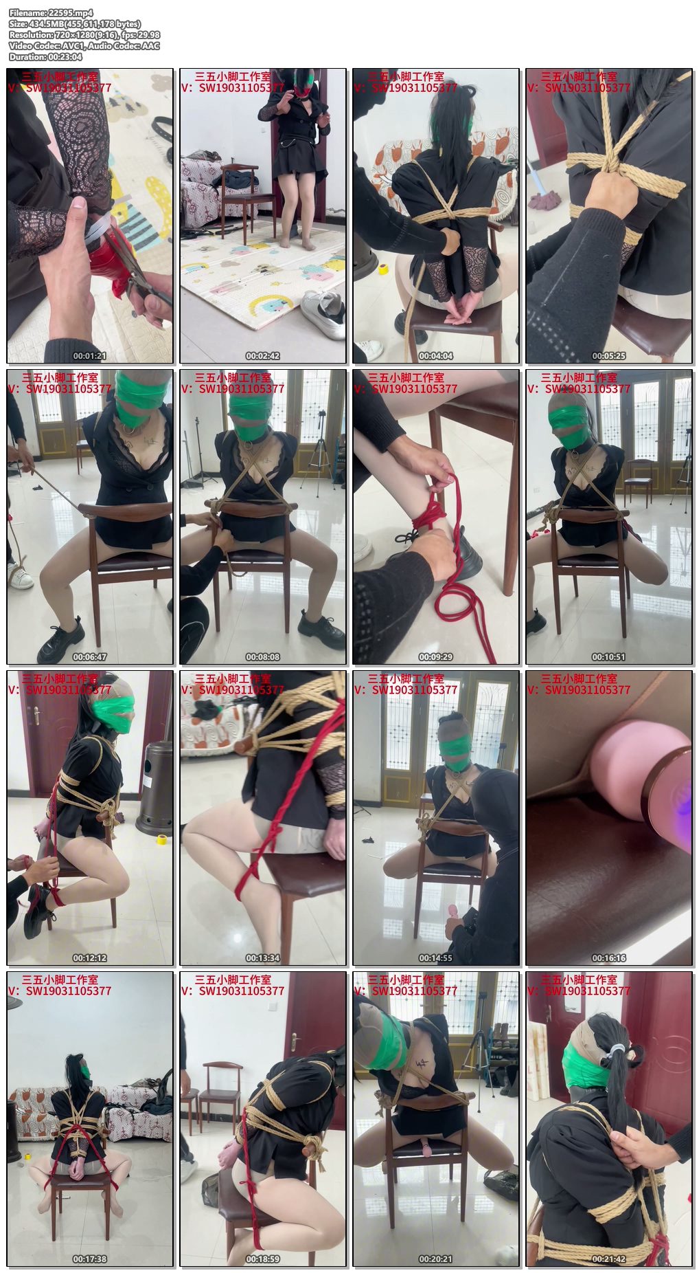 22595----【三五小脚】椅子上的狗 奴.jpg