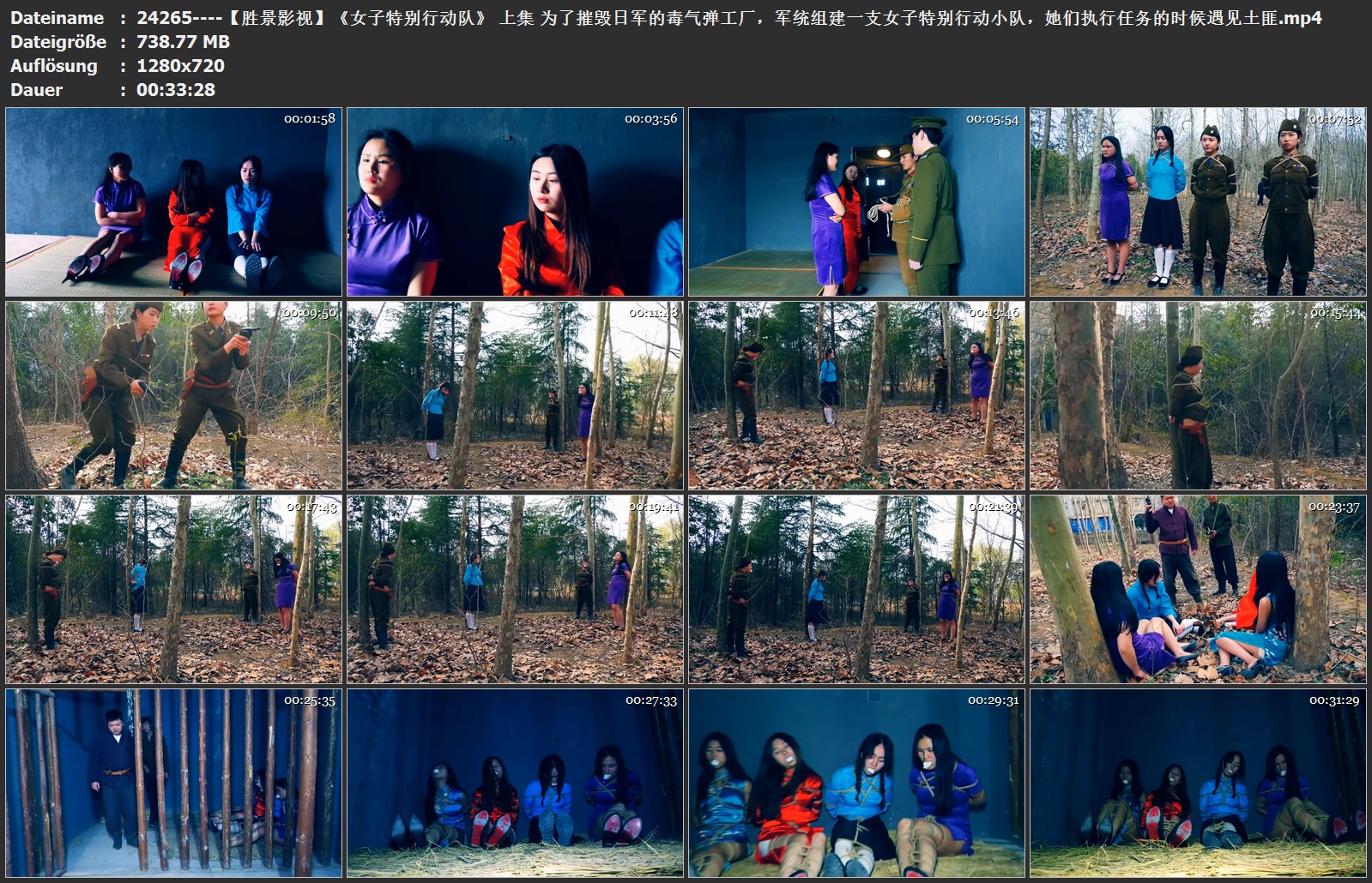 24265----【胜景影视】《女子特别行动队》 上集 为了摧毁日军的毒气弹工厂，军统组建.jpg