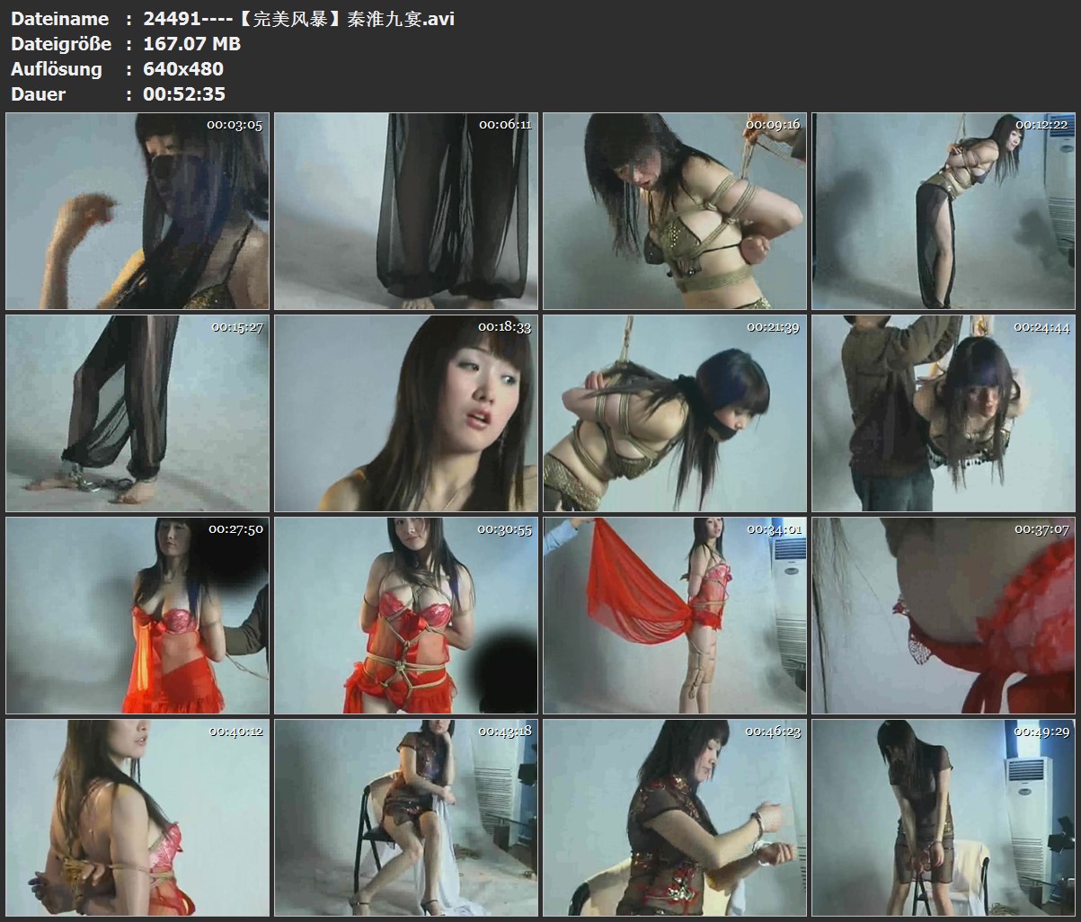 24491----【完美风暴】秦淮九宴.jpg