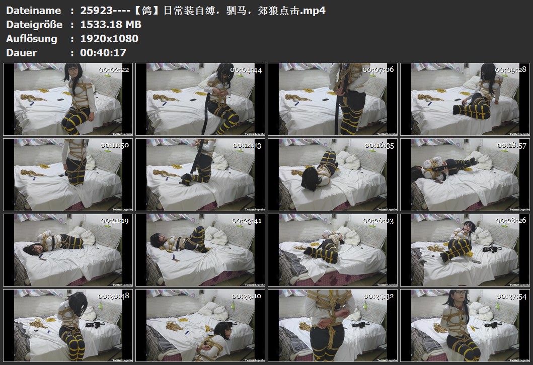 25923----【鸽】日常装自缚，驷马，郊狼点击.jpg