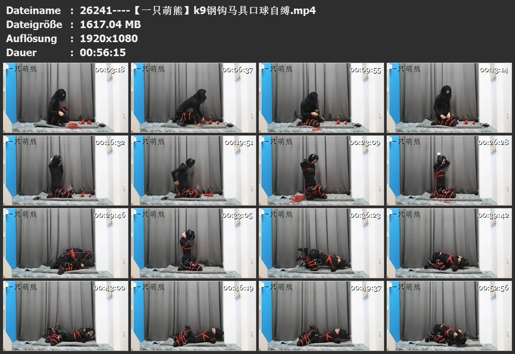 26241----【一只萌熊】k9钢钩马具口球自缚.jpg
