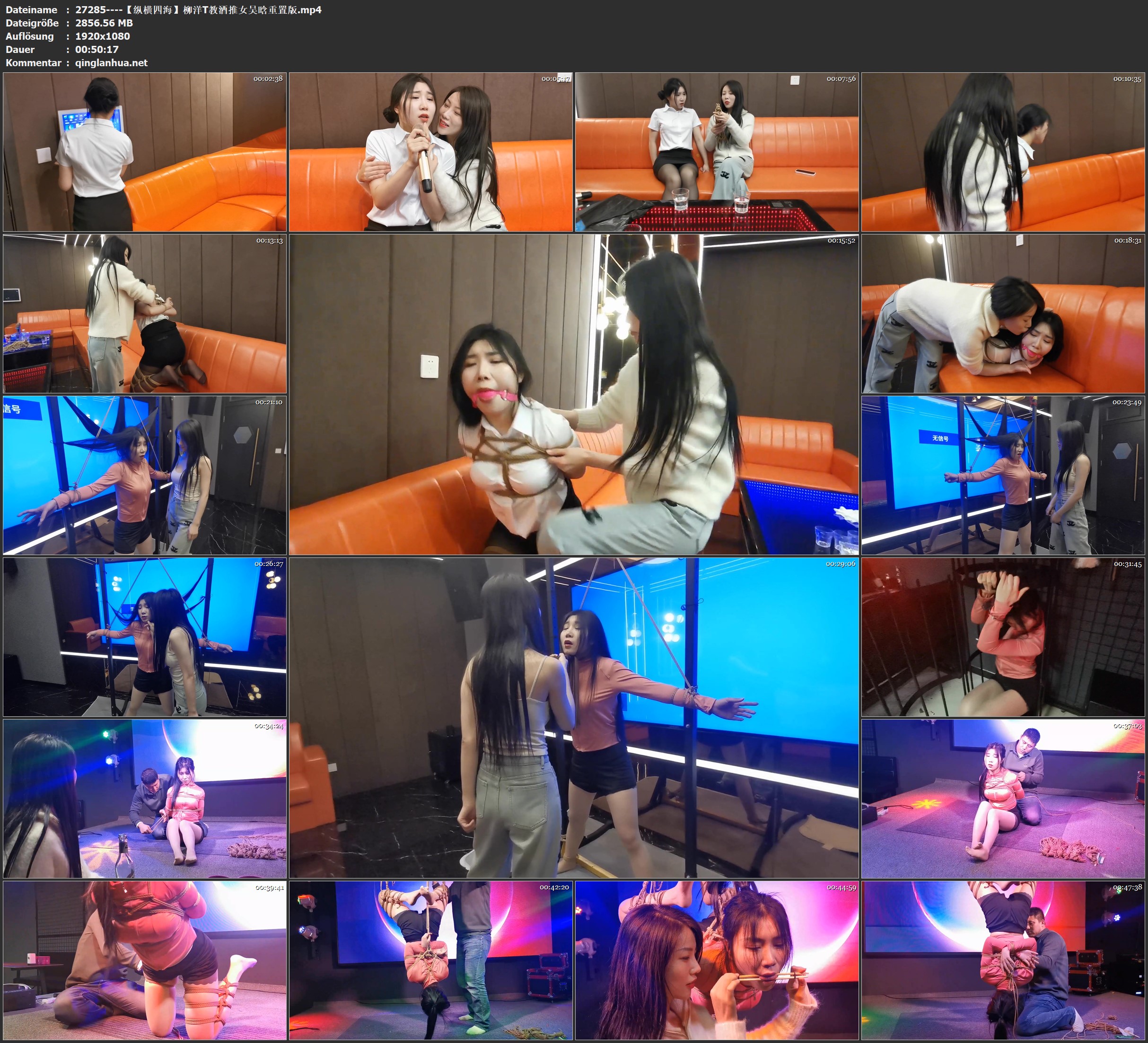 27285----【纵横四海】柳洋T教酒推女吴晗重置版.jpg