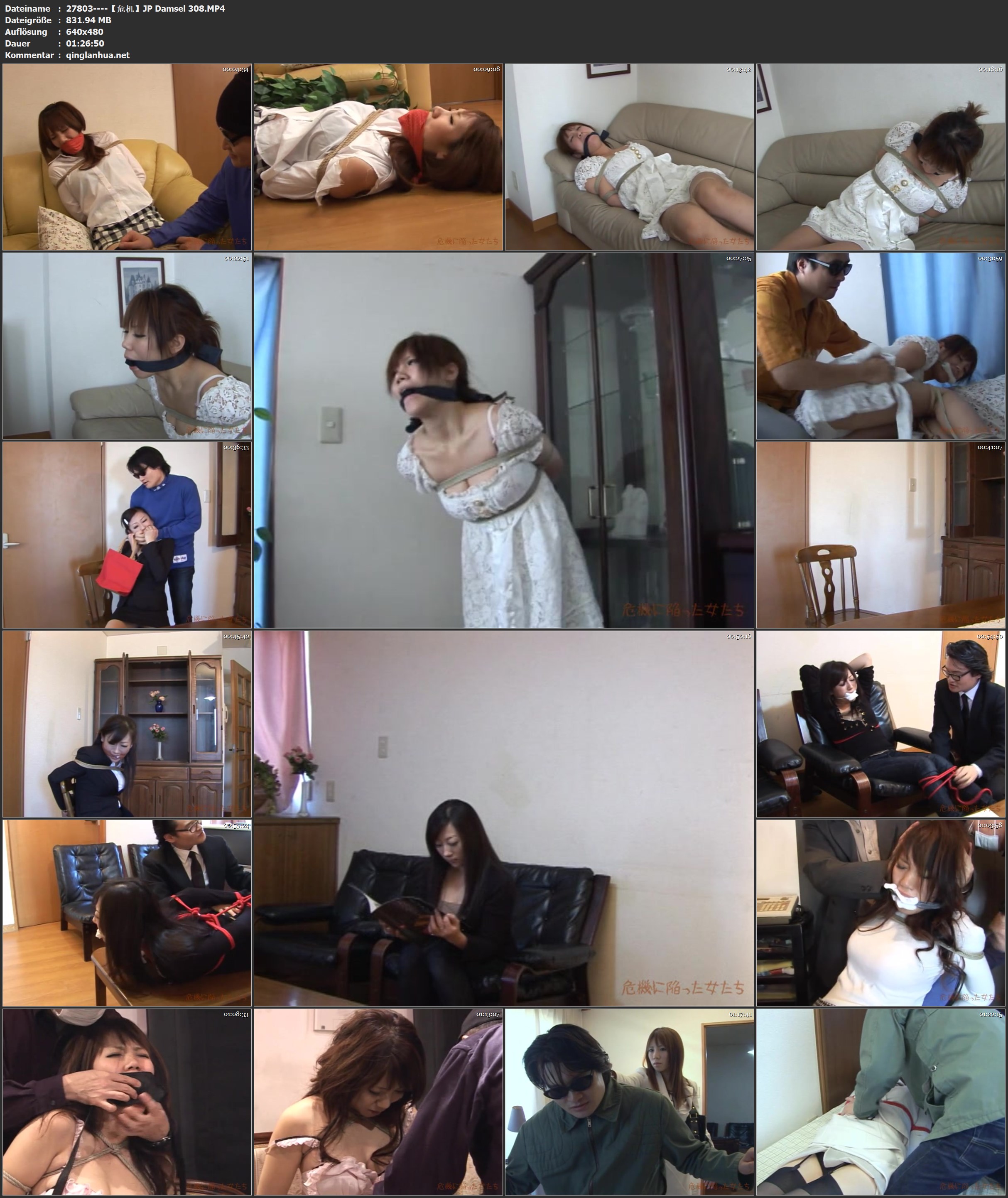 27803----【危机】JP Damsel 308.jpg