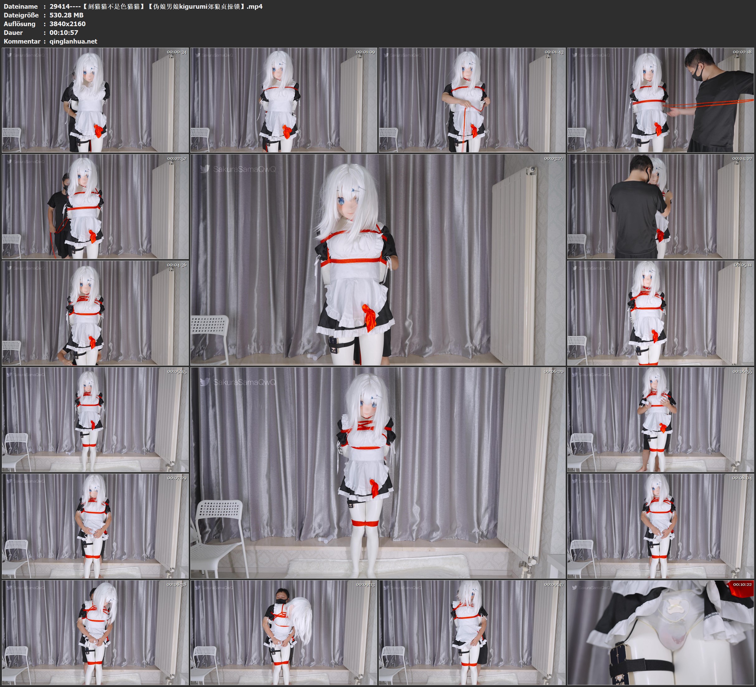 29414----【刻猫猫不是色猫猫】【伪娘男娘kigurumi郊狼贞操锁】.jpg