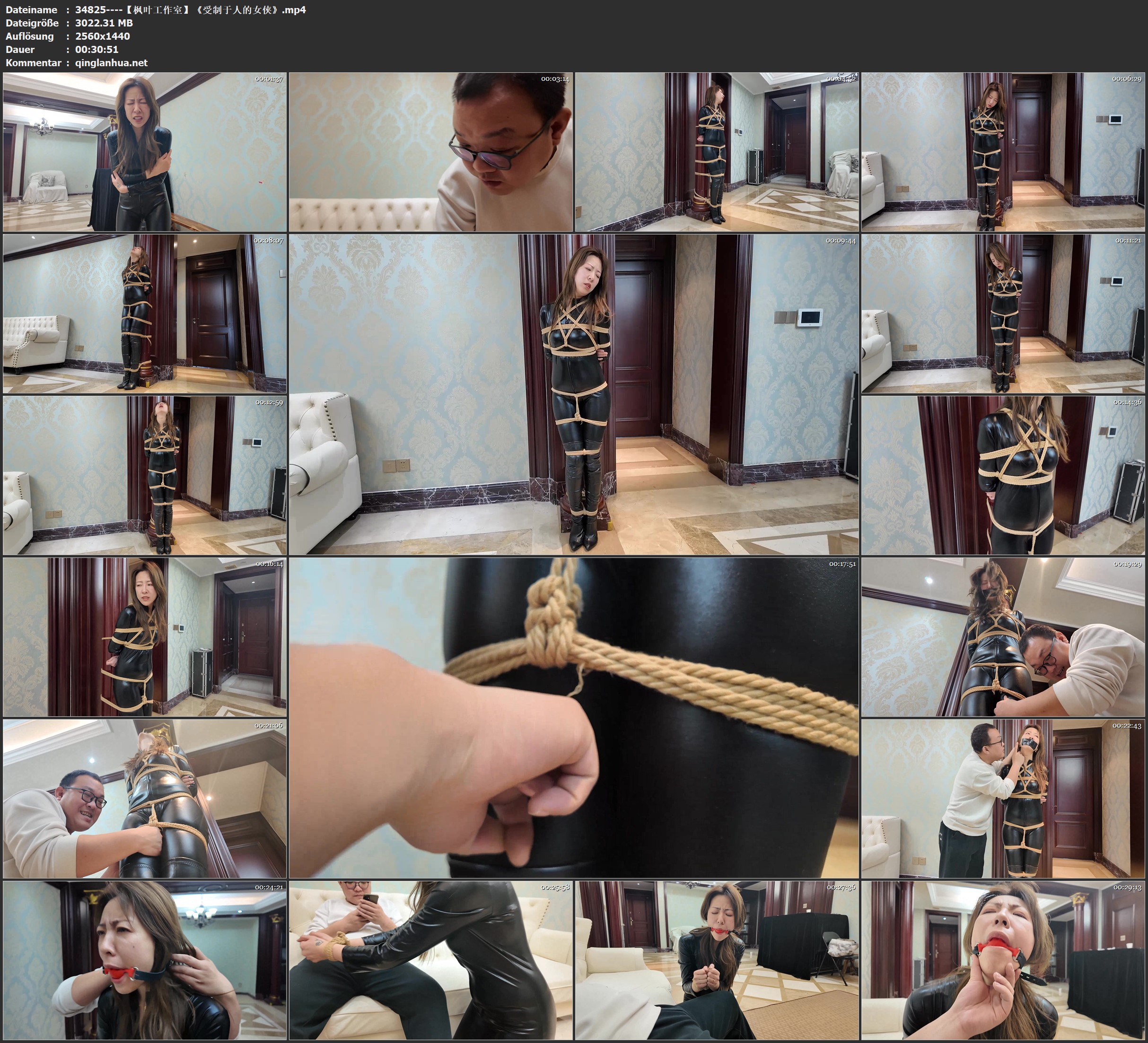 34825----【枫叶工作室】《受制于人的女侠》.jpg