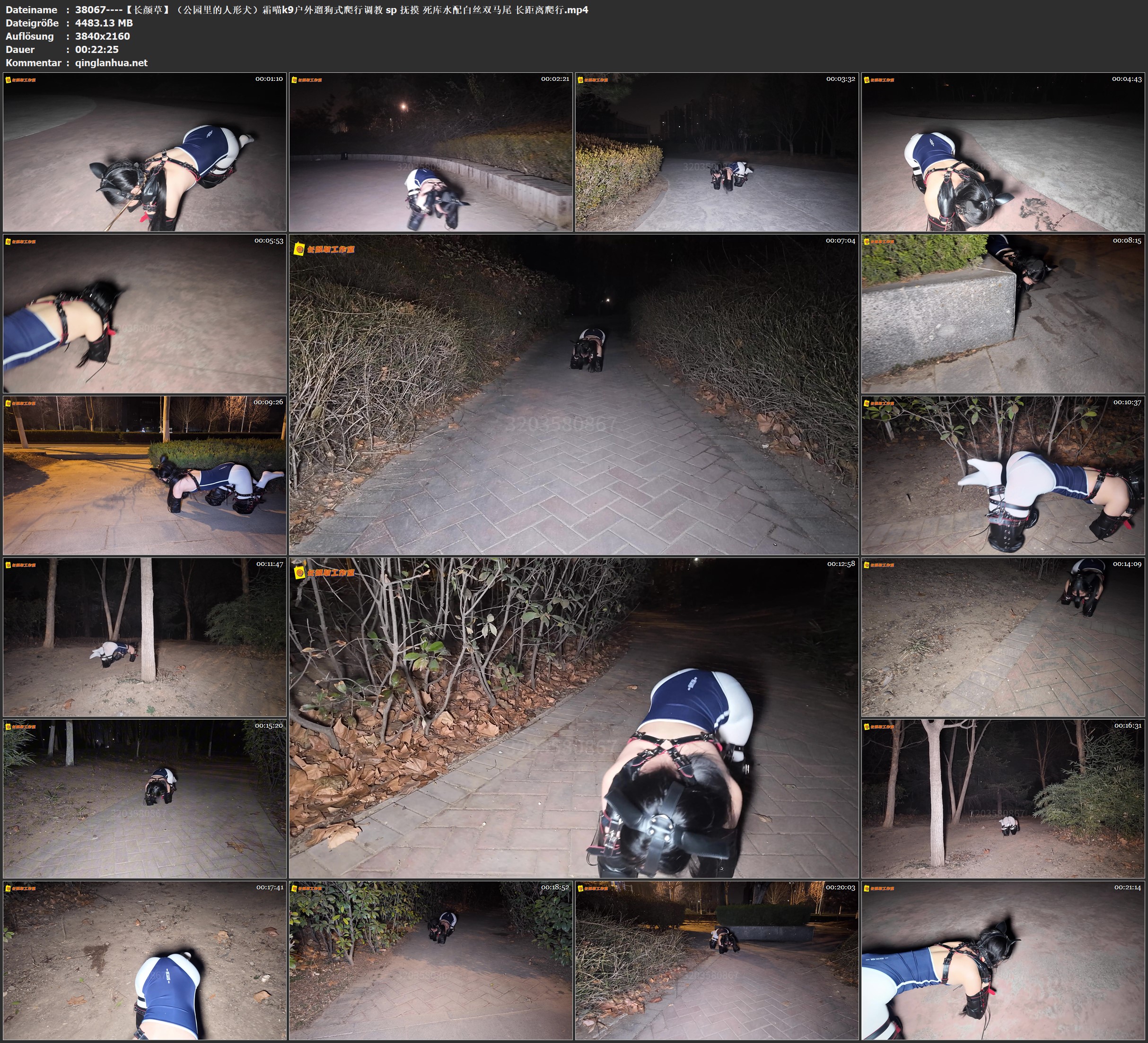 38067----【长颜草】（公园里的人形犬）霜喵k9户外遛狗式爬行调教 sp 抚摸 死库水配白.jpg