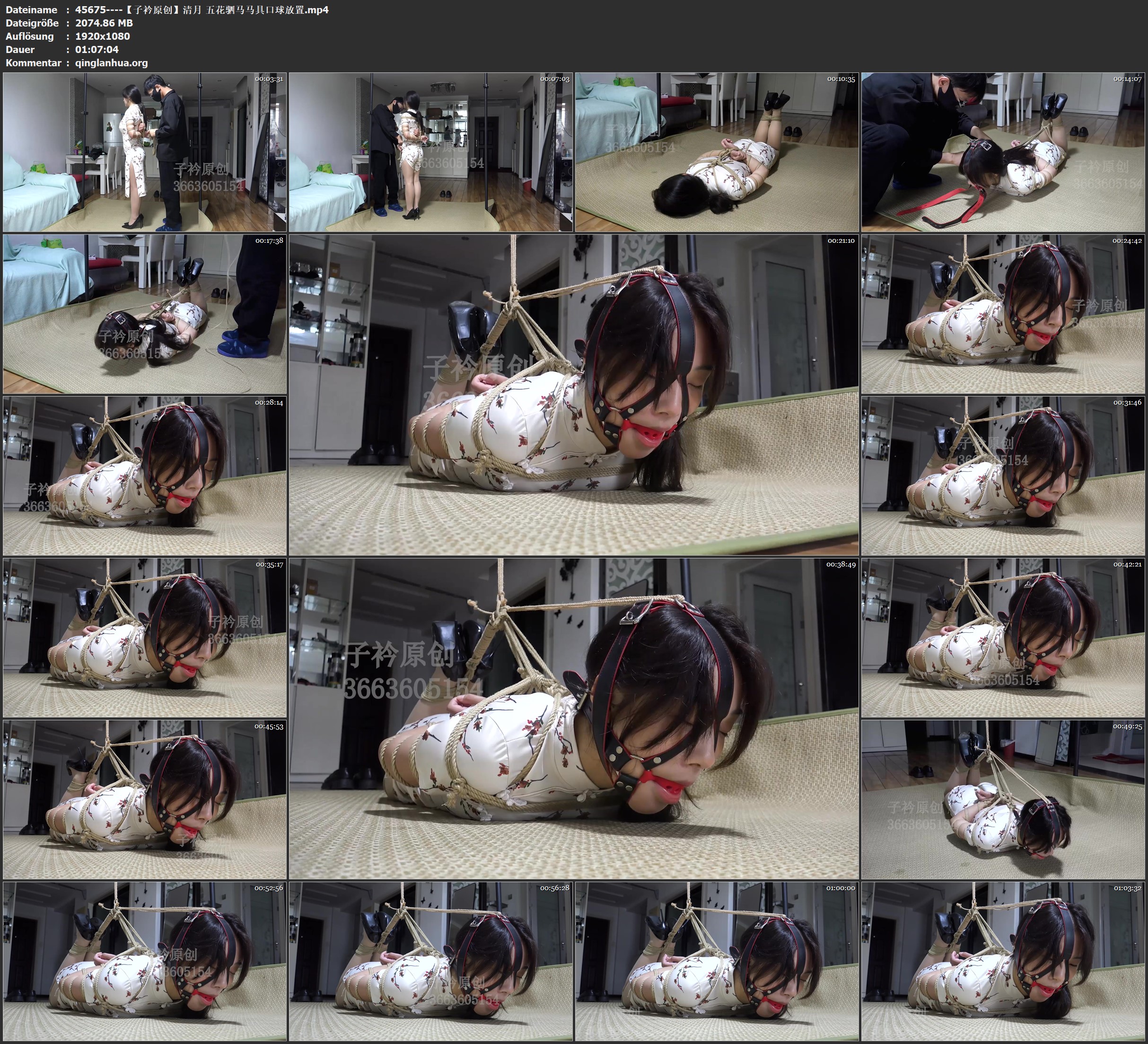 45675----【子衿原创】清月 五花驷马马具口球放置.jpg