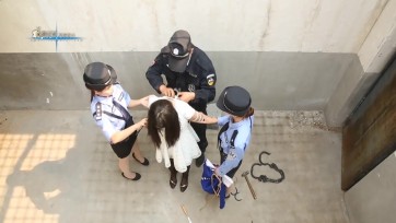 【梨花雨】凋落