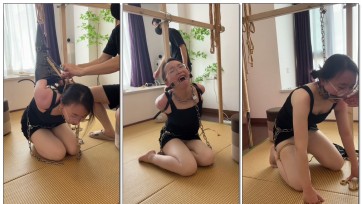 【麦子呀】狗奴放置