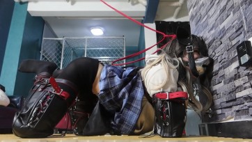 【面具男】伪娘K9绝望钢勾震动电击紧固模