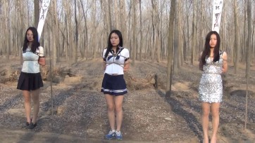 【MJ影视】三女争秀