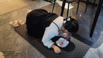 【雨辰工作室】训犬实录之汐汐圈养日记 第一集