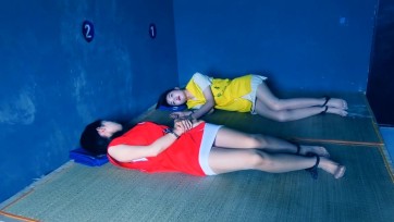 【胜景影视】《红颜殇》 上集 女毒枭利用女大学生找工作心理诱导她们贩毒