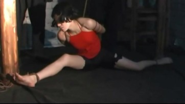 【新胭脂扣】淑琴女烈花絮篇