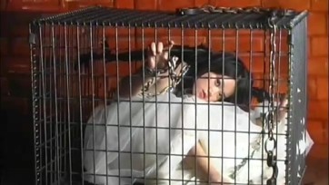 【完美风暴】天使折翼 - 玫儿