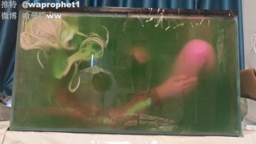 【哈曼哈w】视频更新第六弹，nikke胜利女神爱丽丝3层乳胶衣果冻封存