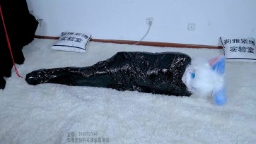 【莉雅】全包电击 全包、电击