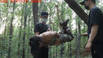 丛林里的遭遇（上）