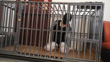 【逸客绳屋】小黑狗K9关笼