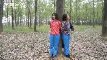 【一绳有你】【铡刀下的英魂】来往于丛林中的通讯员小纯、小莲被特务捆绑树上驷马不屈昂首挺胸走向铡刀下英勇牺牲