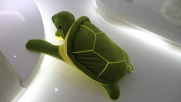 【咕咕原创】茶茶小乌龟~四肢折叠毛绒玩具拘束爬行+跳D放置+装箱放置！（一小时）