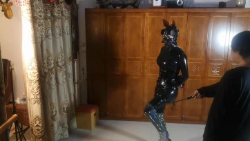 【逍遥伯乐】【马术】胶衣小马女孩的跑马训练初体验