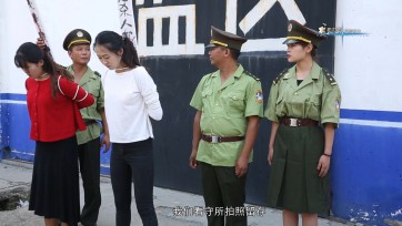 【梨花雨】追雪