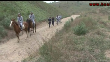 【怀旧影苑】西路悲歌(客儿 青竹 海棠 莎莎)