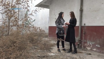 【梨花雨】丽人行