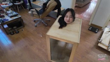 【半岛束艺台】【矢崎】长脑袋的柜子