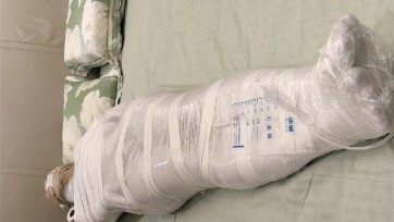 【受虐狂】全包放置，榨汁导尿