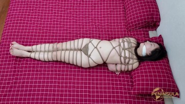 【半岛束艺台】【奎因】送你两朵月季花