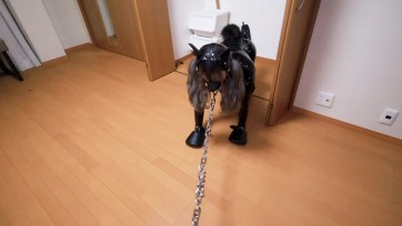 【D＠Lemon】k9野外散歩