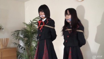 【危机】JP Damsel 253