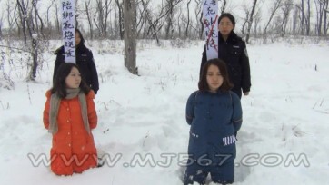 【MJ影视】雪域情缘