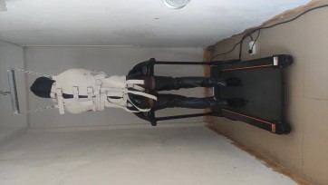 【曼陀罗】新的征程！20天CDM极限体验（一）跑步机上的芭蕾舞靴！