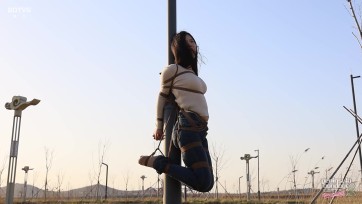 【半岛束艺台】【海语】无源相控阵人工智能可视一体化监控杆