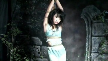 【完美风暴】孔雀舞者